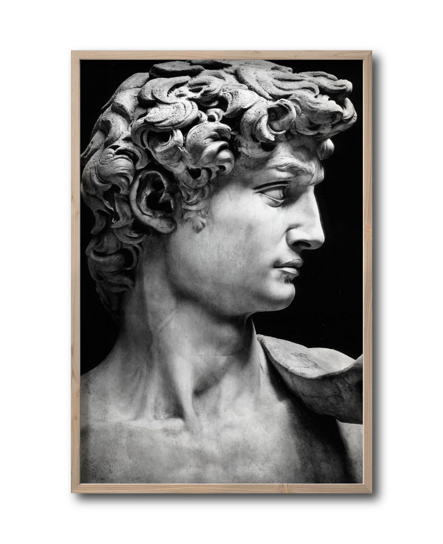 Cuadro Decorativo Esculturas 001 - El David. Para Sala