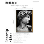Cargar imagen en el visor de la galería, Cuadro Decorativo Esculturas 001 - El David. Para Sala
