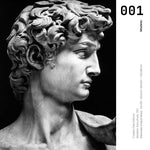Cargar imagen en el visor de la galería, Cuadro Decorativo Esculturas 001 - El David. Para Sala
