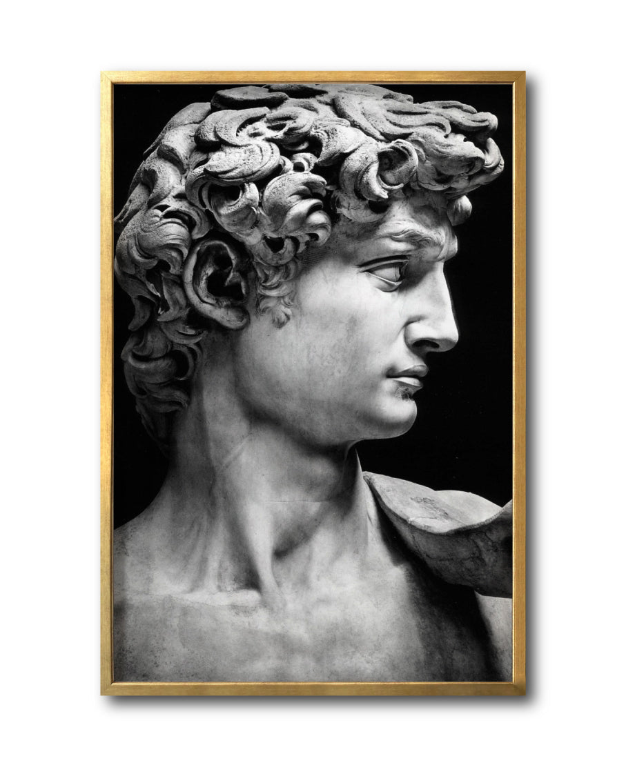 Cuadro Decorativo Esculturas 001 - El David. Para Sala