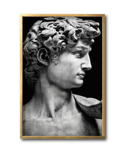 Cuadro Decorativo Esculturas 001 - El David. Para Sala