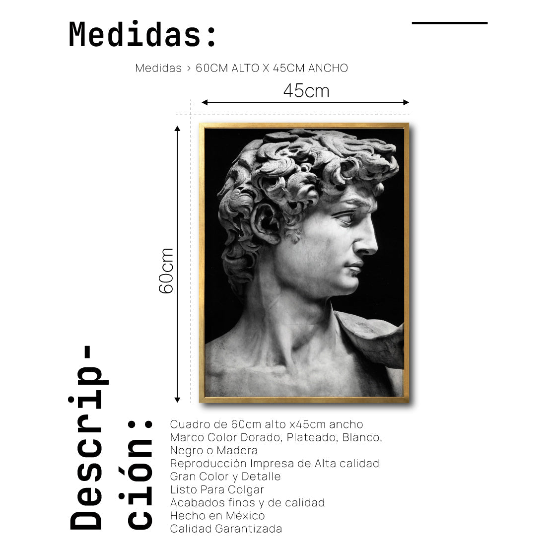 Cuadro Decorativo Esculturas 001 - El David para Recámara