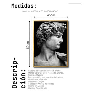 Cuadro Decorativo Esculturas 001 - El David para Recámara