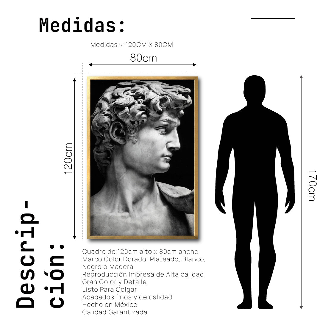 Cuadro Decorativo Esculturas 001 - El David. Para Sala