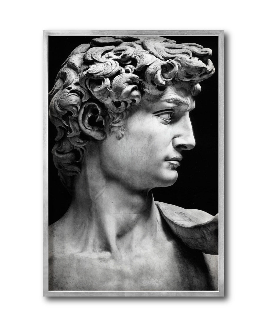 Cuadro Decorativo Esculturas 001 - El David. Para Sala