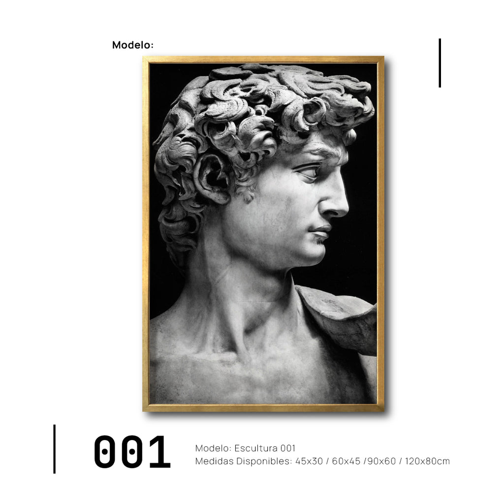 Cuadros decorativos Canvas Rostro esculturas-El David Masculino Modernos para sala. Galería314. 001