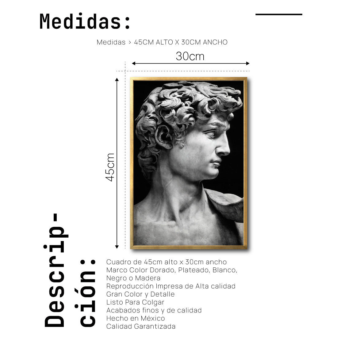 Cuadro Decorativo Esculturas 001 - El David. Para Sala