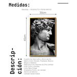 Cargar imagen en el visor de la galería, Cuadro Decorativo Esculturas 001 - El David. Para Sala
