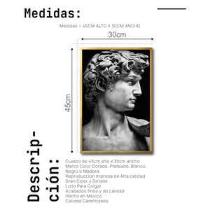 Cuadro Decorativo Esculturas 001 - El David. Para Sala