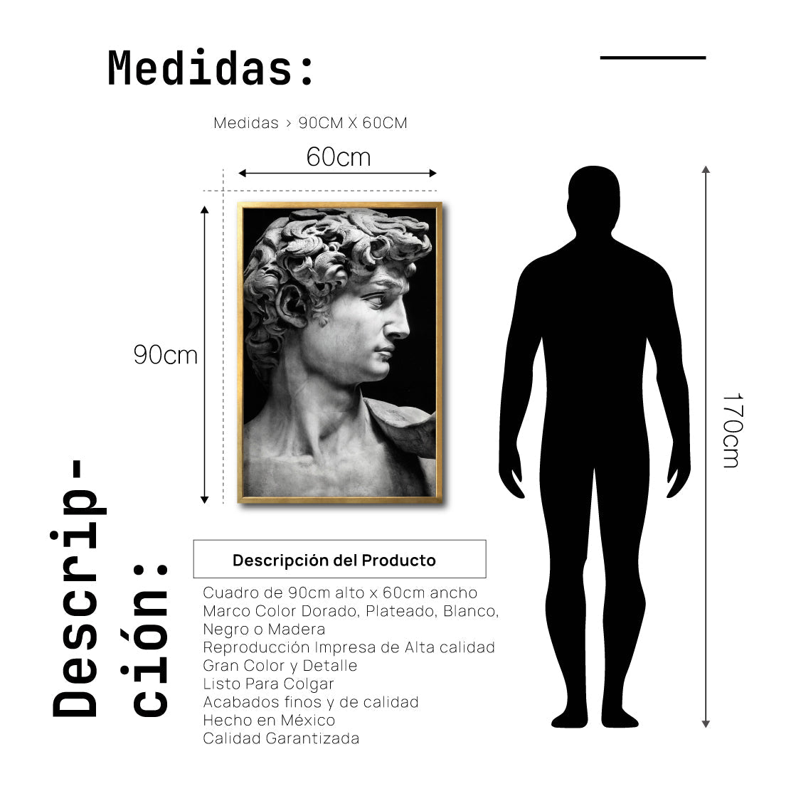 Cuadro Decorativo Esculturas 001 - El David. Para Sala