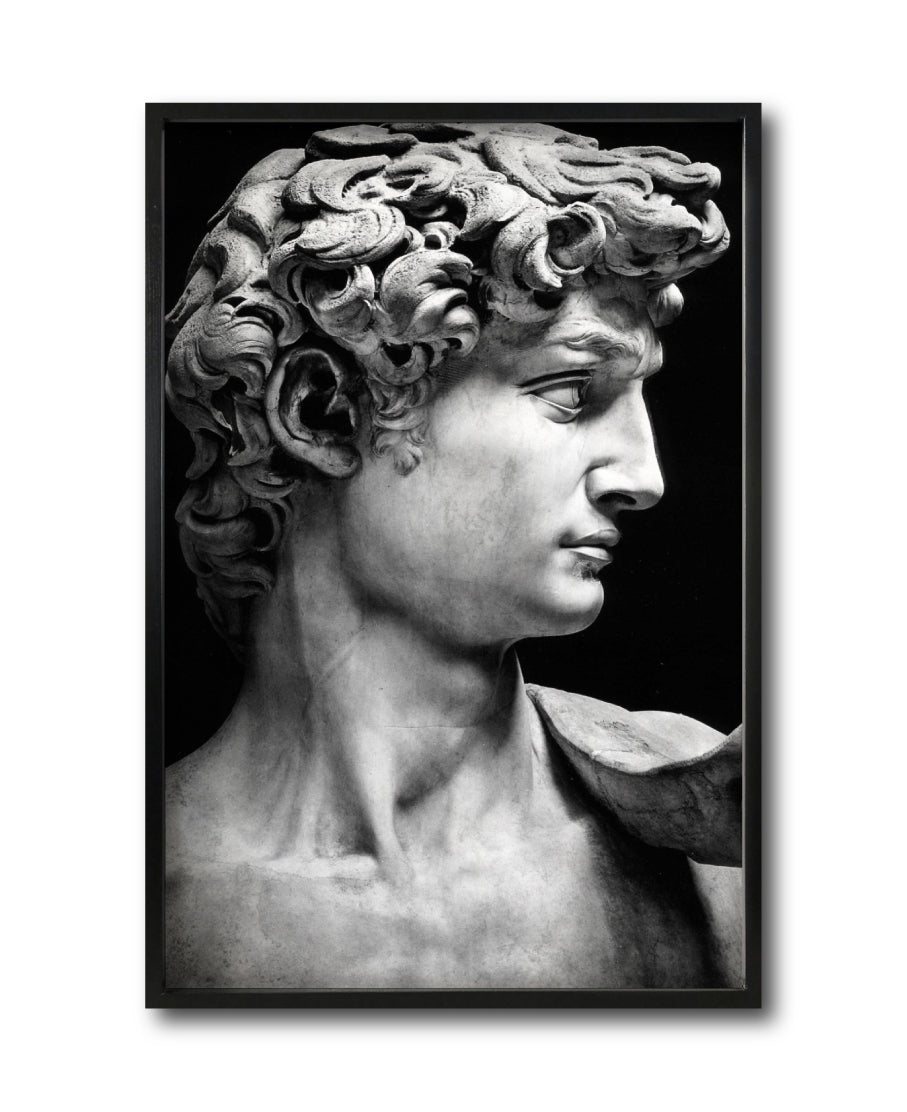 Cuadro Decorativo Esculturas 001 - El David. Para Sala