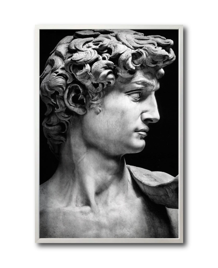 Cuadro Decorativo Esculturas 001 - El David. Para Sala