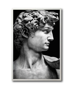 Cuadro Decorativo Esculturas 001 - El David. Para Sala