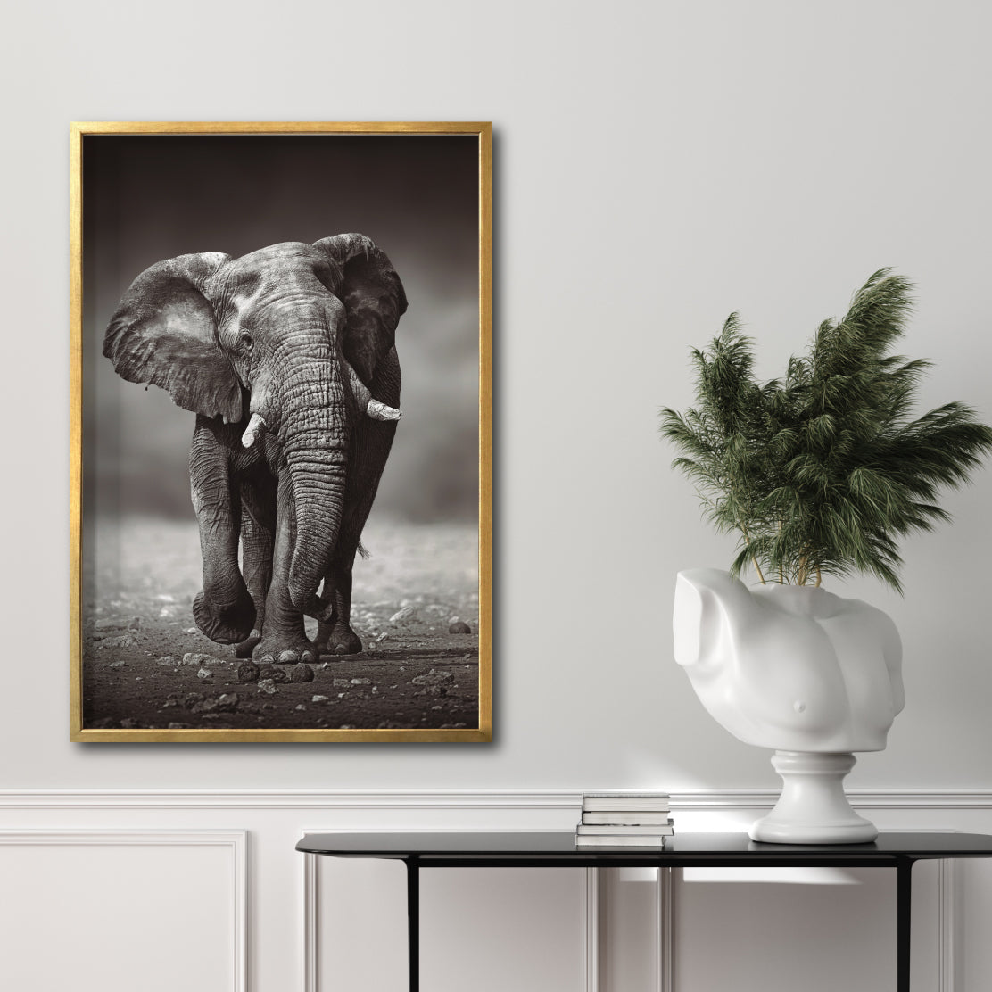 Cuadro Decorativo Fauna 001 - Elefante