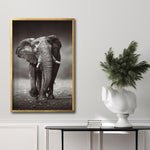 Cargar imagen en el visor de la galería, Cuadro Decorativo Fauna 001 - Elefante
