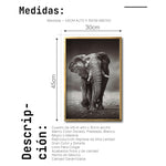 Cargar imagen en el visor de la galería, Cuadro Decorativo Fauna 001 - Elefante
