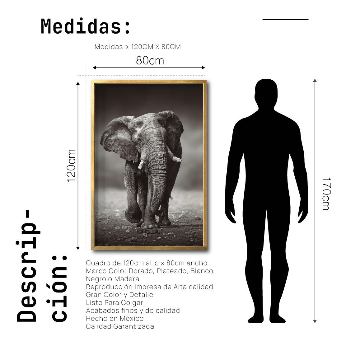 Cuadro Decorativo Fauna 001 - Elefante