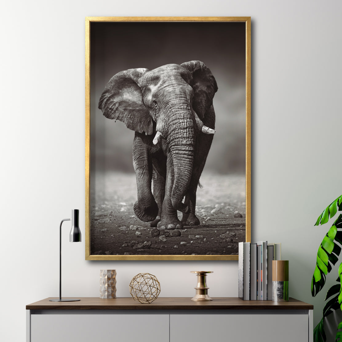 Cuadro Decorativo Fauna 001 - Elefante