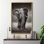 Cargar imagen en el visor de la galería, Cuadro Decorativo Fauna 001 - Elefante

