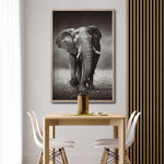 Cargar imagen en el visor de la galería, Cuadro Decorativo Fauna 001 - Elefante

