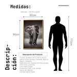 Cargar imagen en el visor de la galería, Cuadro Decorativo Fauna 001 - Elefante
