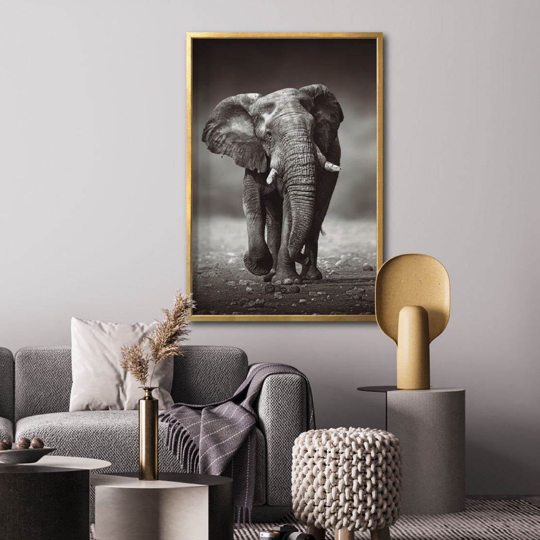 Cuadro Decorativo Fauna 001 - Elefante