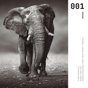 Cuadro Decorativo Fauna 001 - Elefante