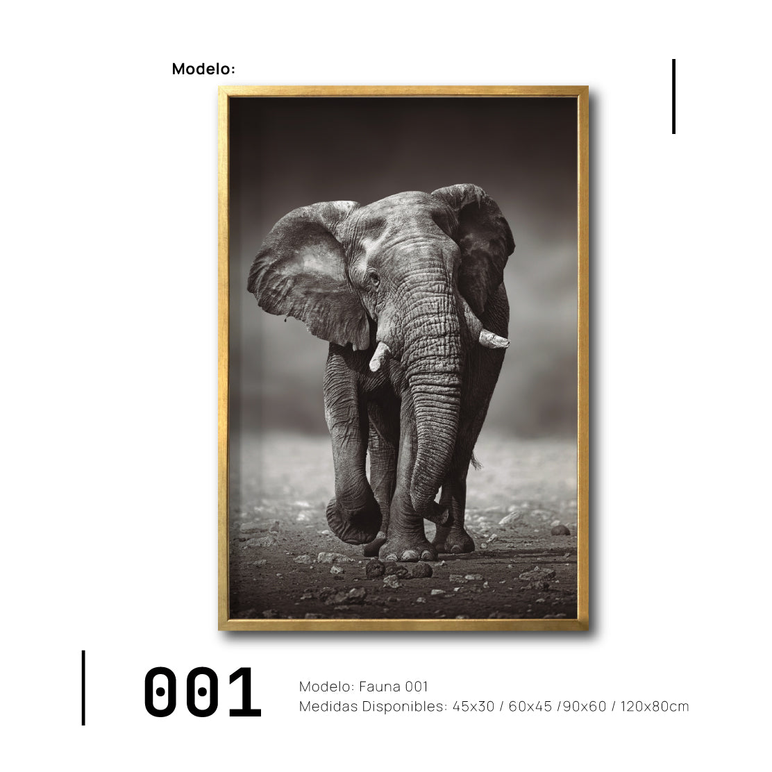 Cuadro Canvas Fauna Elefante Classico Online para Sala. Elegante.Decoración de interiores. Interiorismo. Galería314. 001