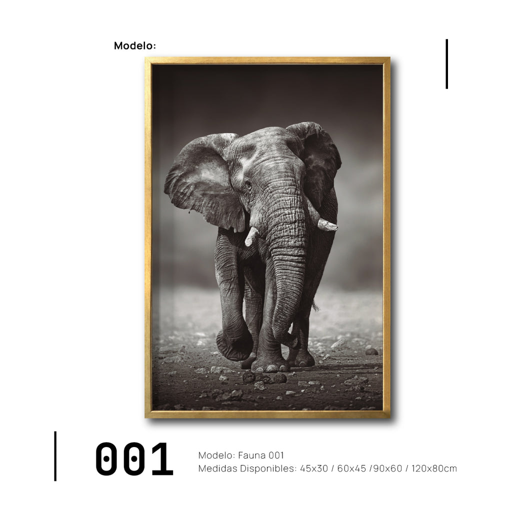 Cuadro Canvas Fauna Elefante Classico Online para Sala. Elegante.Decoración de interiores. Interiorismo. Galería314. 001