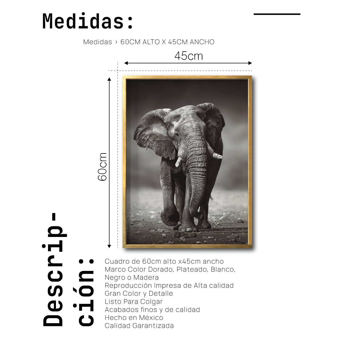 Cuadro Decorativo Fauna 001 - Elefante