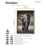 Cargar imagen en el visor de la galería, Cuadro Decorativo Fauna 001 - Elefante
