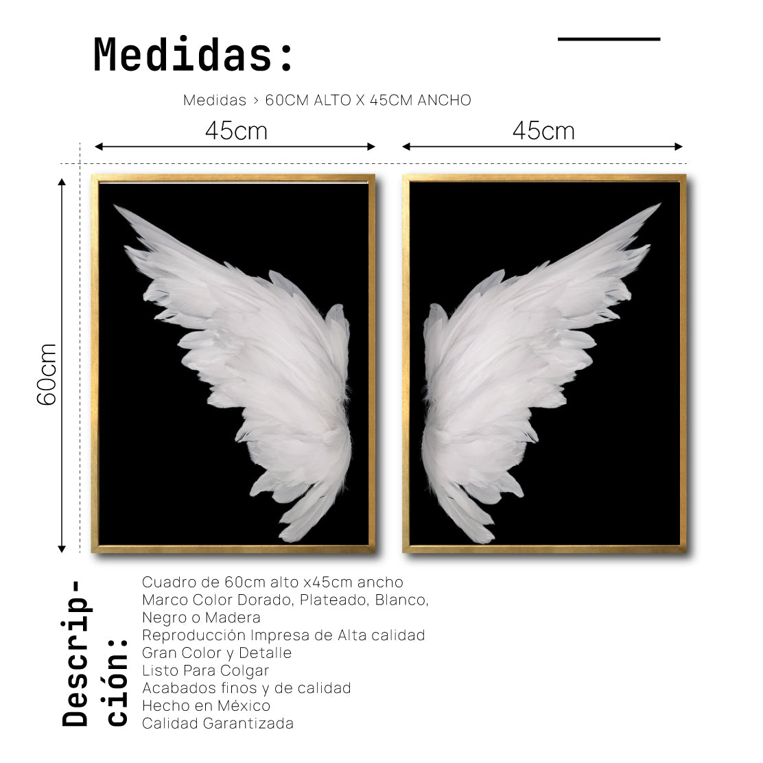 Set Cuadros Decorativos Alas 001