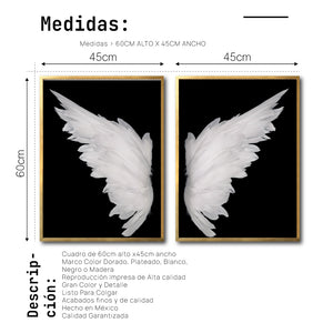 Set Cuadros Decorativos Alas 001