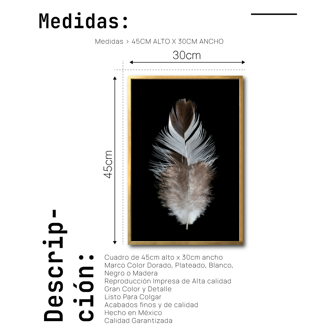 Cuadro Decorativo Plumas 001 B