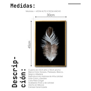 Cuadro Decorativo Plumas 001 B