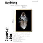 Cargar imagen en el visor de la galería, Cuadro Decorativo Plumas 001 B
