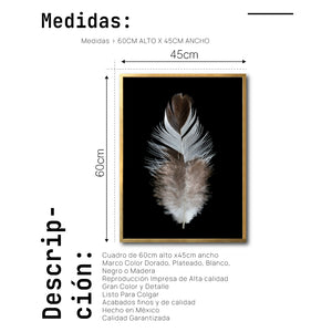 Cuadro Decorativo Plumas 001 B