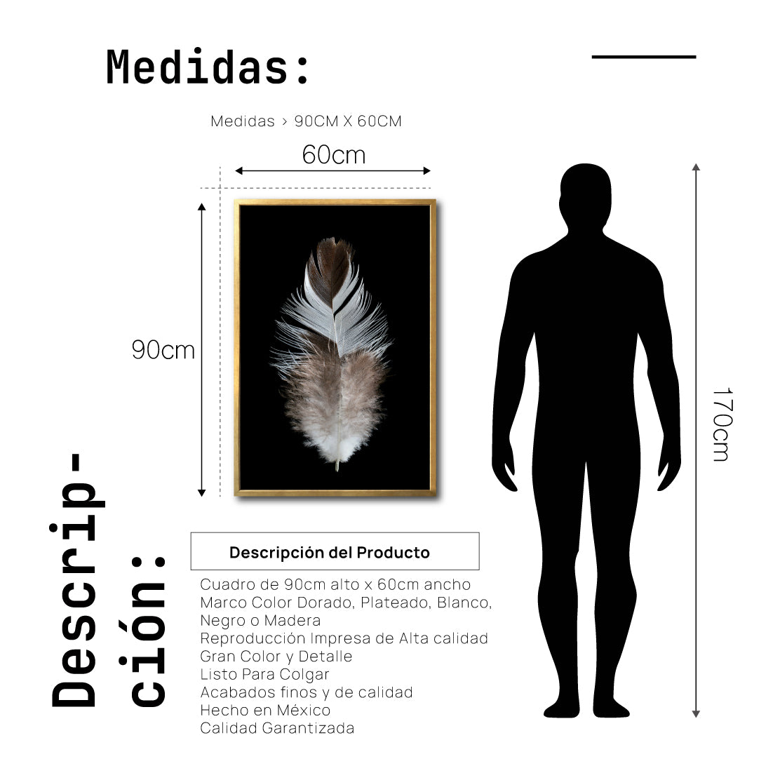 Cuadro Decorativo Plumas 001 B