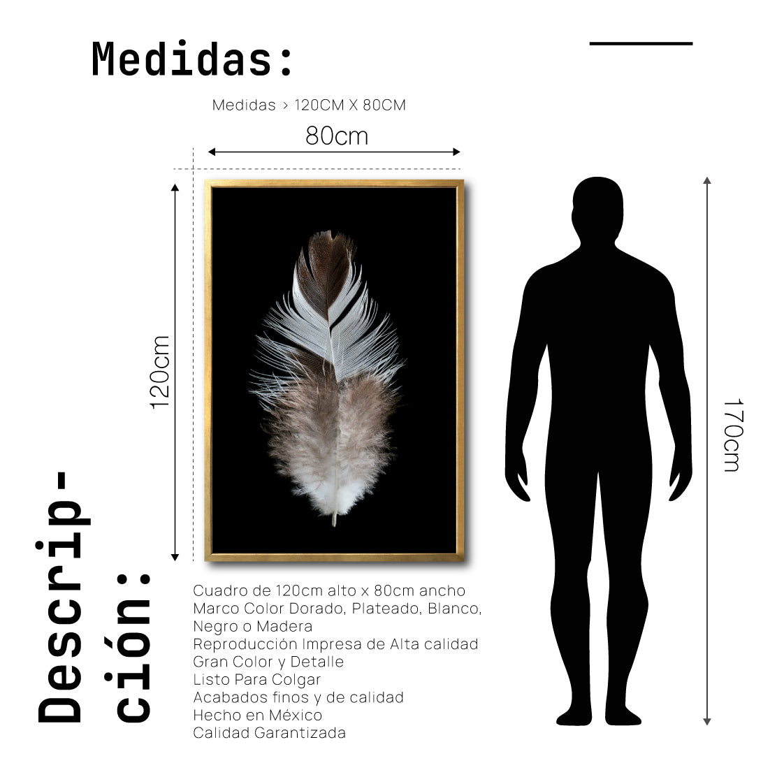 Cuadro Decorativo Plumas 001 B