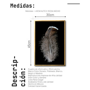 Cuadro Decorativo Plumas 001 C