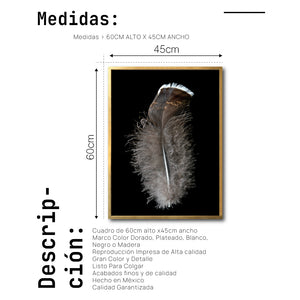 Cuadro Decorativo Plumas 001 C