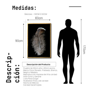 Cuadro Decorativo Plumas 001 C