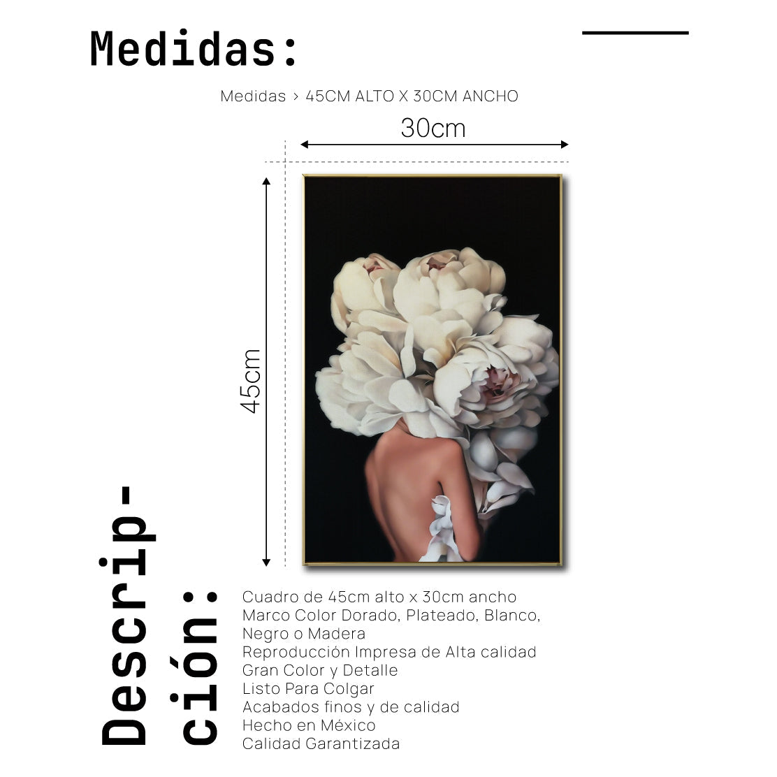 Cuadro Decorativo Mujer Floral y Alas 001 Para Sala
