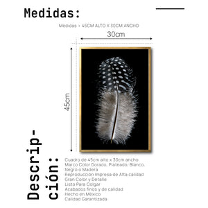 Cuadro Decorativo Plumas 001 A