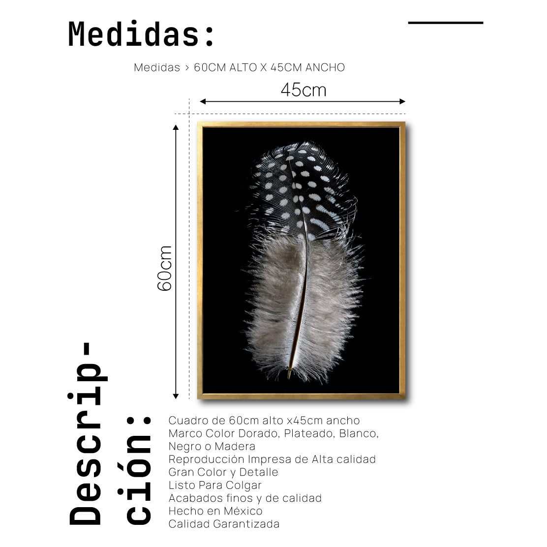 Cuadro Decorativo Plumas 001 A