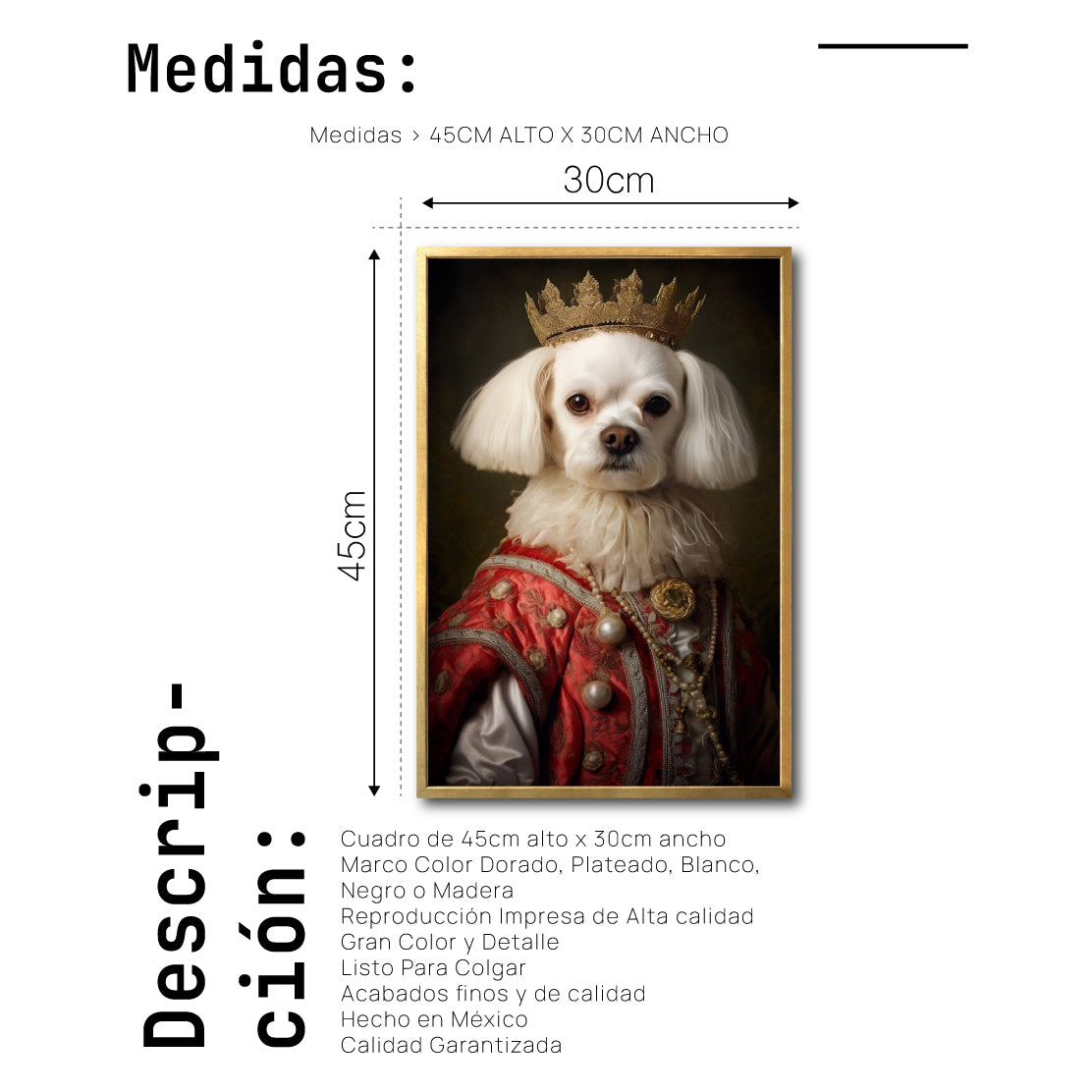 Cuadro Decorativo Perros Época 001 - Maltes Aristócrata