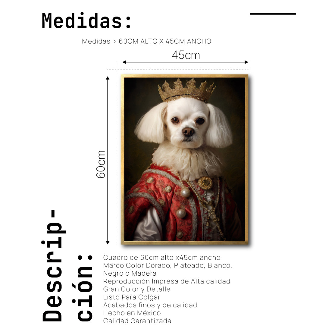 Cuadro Decorativo Perros Época 001 - Maltes Aristócrata