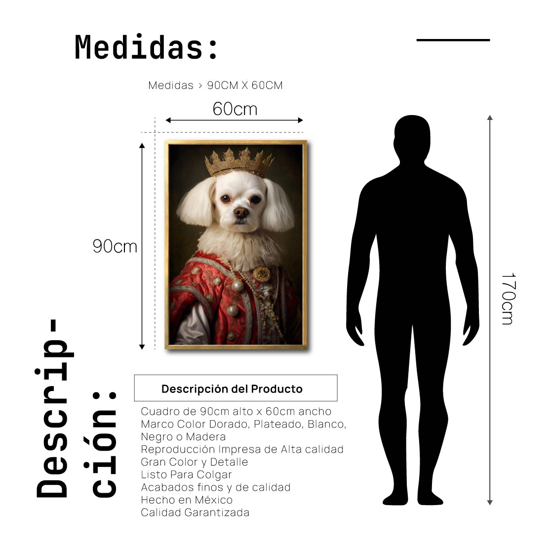 Cuadro Decorativo Perros Época 001 - Maltes Aristócrata