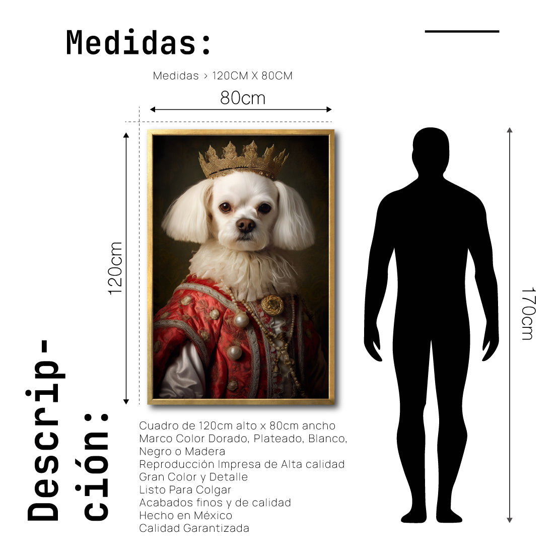 Cuadro Decorativo Perros Época 001 - Maltes Aristócrata