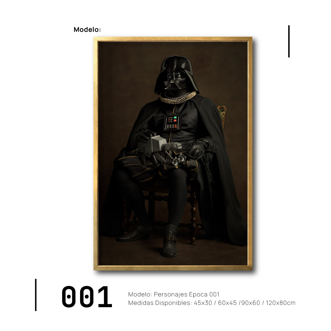 Cuadro Decorativo Personajes Época 001  Star Wars Darth Vader